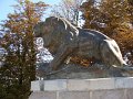 Schlossberg Lion 2154